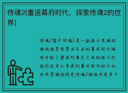 侍魂2(重返幕府时代，探索侍魂2的世界)